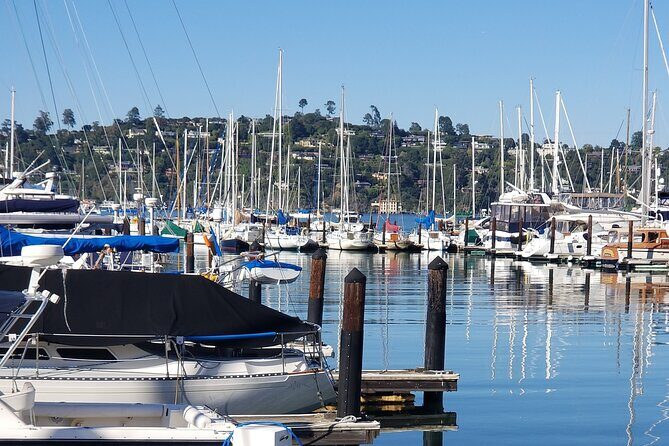 Muir Woods Sausalito Entry & Ferry to Fishermans Wharf included - Bundled Ferry + Muir Woods Entry: Better Value Than Doing It Alone