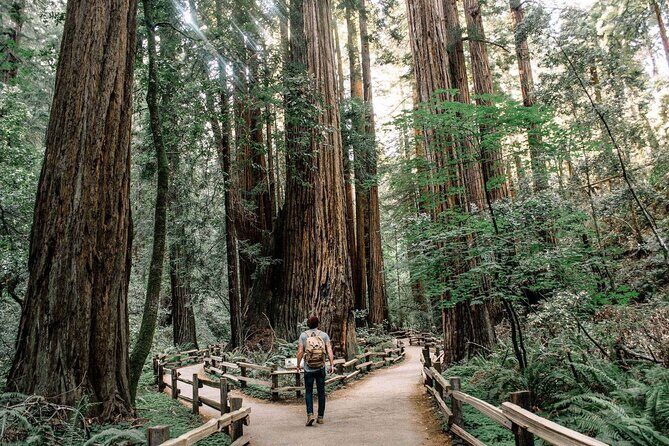 Muir Woods & Sausalito: Small Group Experience - Key points at a glance