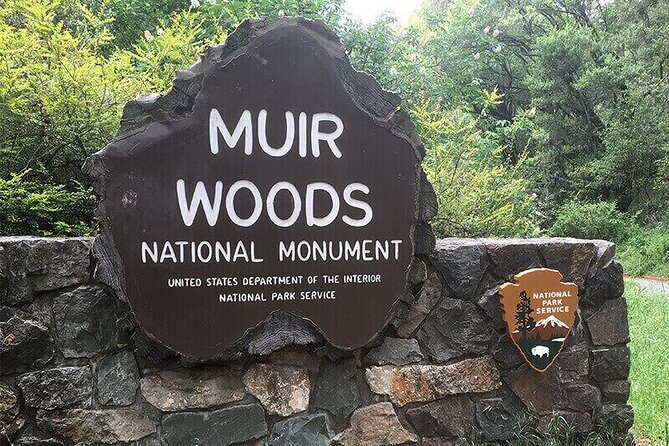 Muir Woods & Sausalito: Small Group Experience - What This 4-Hour Muir Woods + Sausalito Tour Really Feels Like