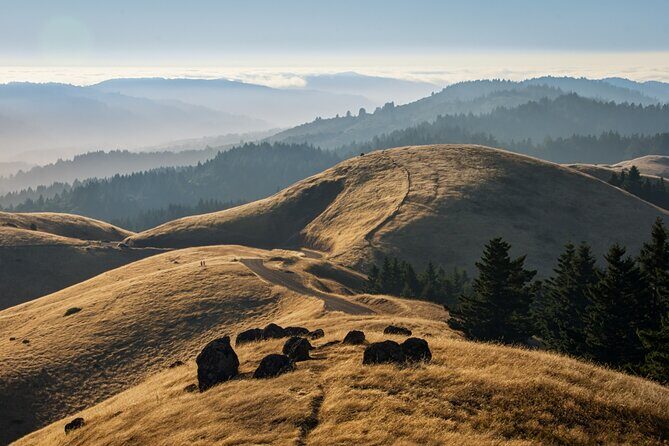 Muir Woods Self-Guided Driving and Walking Audio Tour - Where you start (Mill Valley) and how the route unfolds