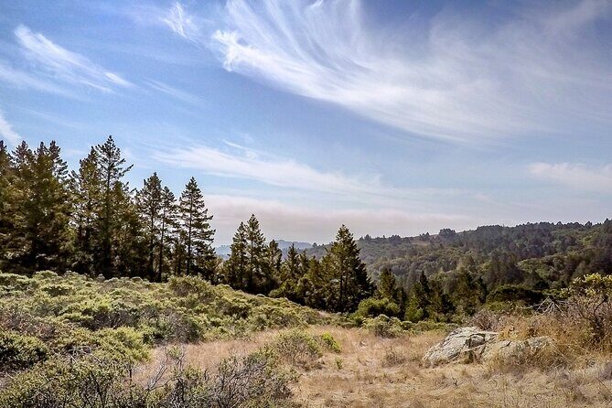 Muir Woods Self-Guided Driving and Walking Audio Tour - Panoramic Highway stop: a 20-minute warm-up with real payoff