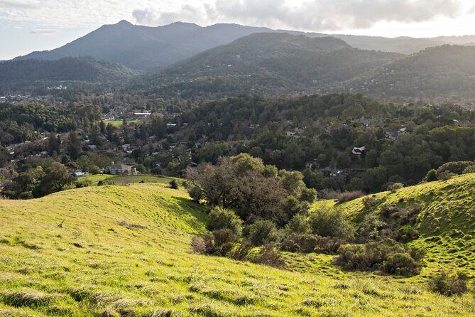 Muir Woods Self-Guided Driving and Walking Audio Tour - The nearby Mount Tamalpais Railway story: a link to how people traveled here