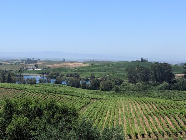 Napa and Sonoma Valley Wine 6 hour Tour from San Francisco - Key Highlights You Should Know Before Booking