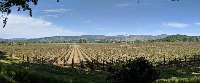 Napa and Sonoma Valley Wine 6 hour Tour from San Francisco - Guides Can Make or Break a Wine Day