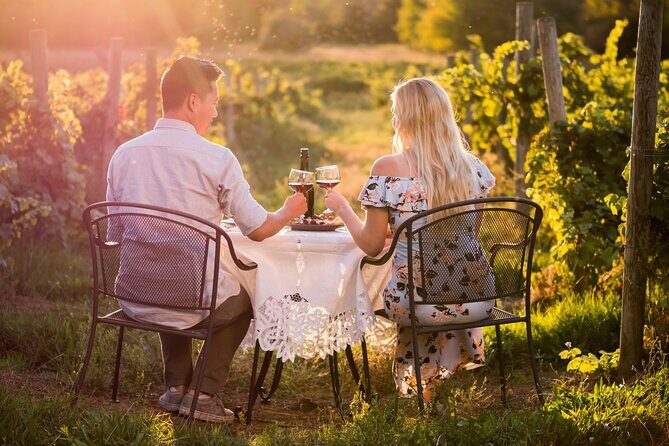 Napa or Sonoma Private Wine Tour from San Francisco - The winery part: how Napa Valley fits into your day