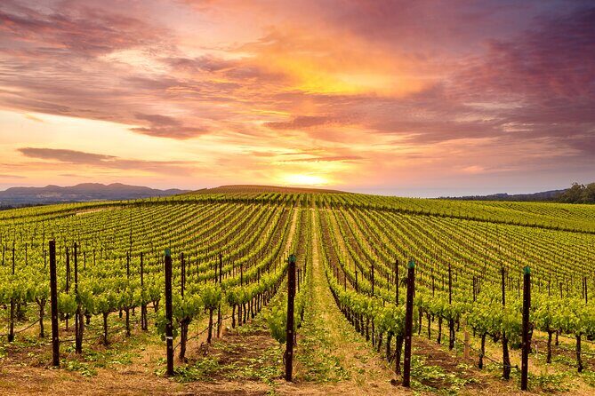 Napa or Sonoma Private Wine Tour from San Francisco - The Golden Gate Bridge stop: a small detour with big payoff