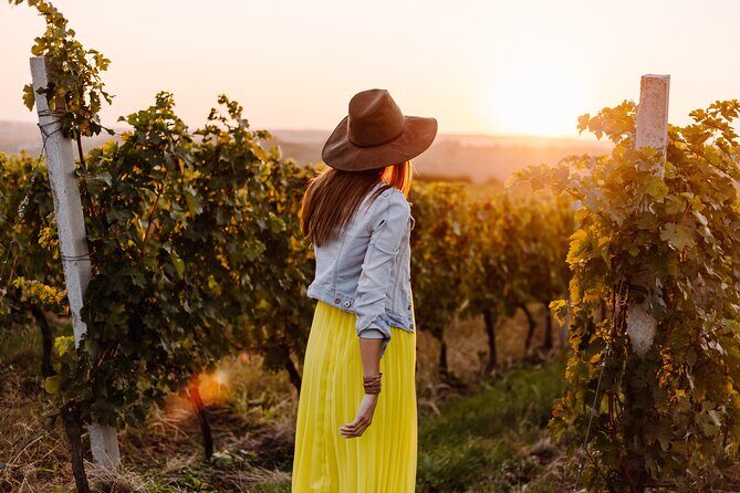 Napa or Sonoma Private Wine Tour from San Francisco - Inside the vehicle: comfort, timing, and what’s included