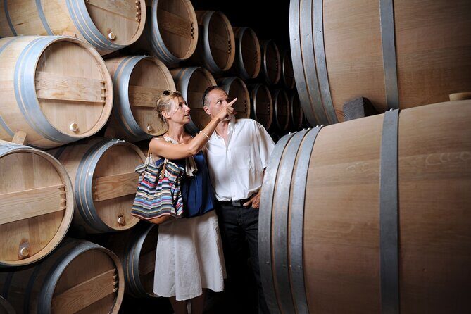 Napa or Sonoma Private Wine Tour from San Francisco - Pets and real-life travel: what the reviews tell you