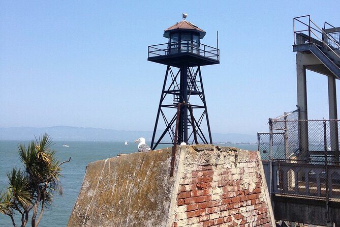 Official Alcatraz Tour with Golden Gate Bridge Bay Cruise - Cell blocks and getting around: walking or a shuttle on the island