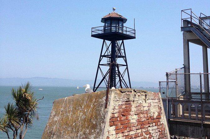 Official Alcatraz Tour with Golden Gate Bridge Bay Cruise - Who this tour suits best (and who might want to think twice)