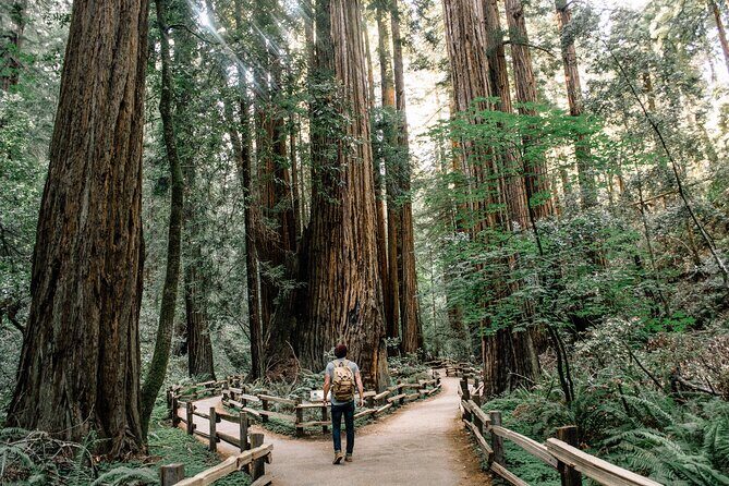 One Day in San Francisco: Alcatraz, Muir Woods, and SF City Tour - Muir Woods National Monument: How to Enjoy 90 Minutes of Redwoods