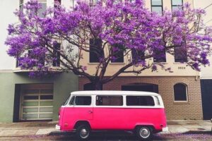 Painted Ladies San Francisco City Tour - The retro feel: 1960s and 1970s songs and a guide who drives the story