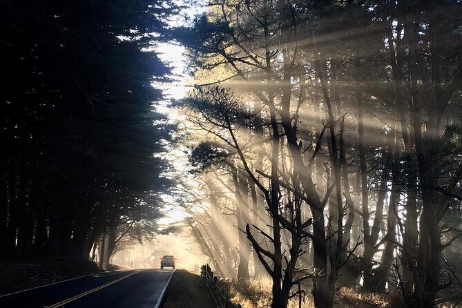 Picture your best SF tour ever! (Epic Bay Area photo adventures) - Lands End and Twin Peaks: two viewpoints, two moods