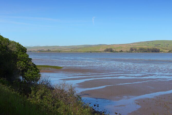 Point Reyes National Seashore Self Guided Driving Audio Tour - Drakes Estero: a marshy inlet plus a 2.5-mile trail option