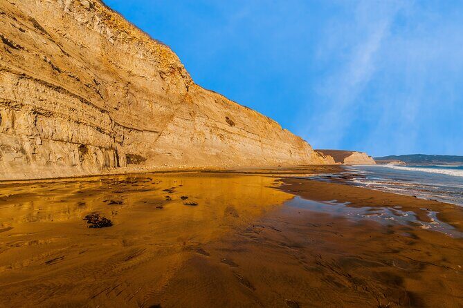 Point Reyes National Seashore Self Guided Driving Audio Tour - Point Reyes Beach and Drakes Beach: long sand views with wildlife payoff