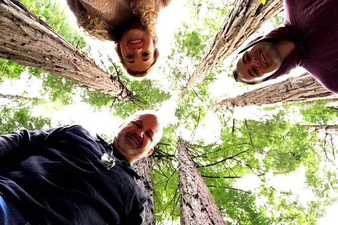 Private Full-Day San Francisco City Tour with Muir Woods (Max 6) - Key things to know before you go