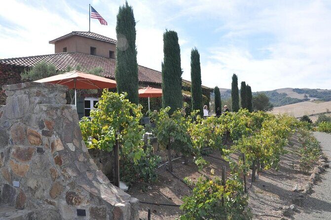 Private Group Wine Tour of Napa and Sonoma - Key highlights worth circling