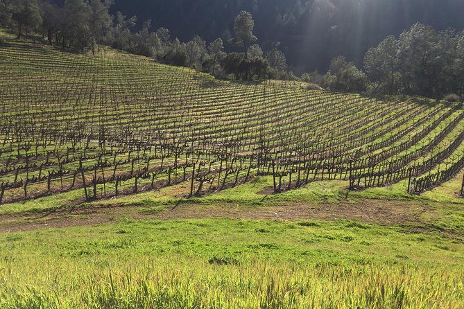 Private Group Wine Tour of Napa and Sonoma - Golden Gate Bridge photo stop: the quick SF hit you actually use