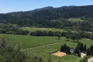 Private Group Wine Tour of Napa and Sonoma - Viansa Sonoma (or Jacuzzi): Tuscan-style winery views and a first tasting