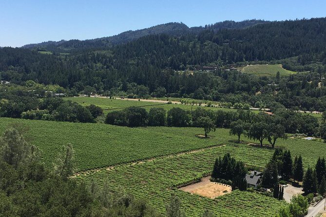 Private Group Wine Tour of Napa and Sonoma - Viansa Sonoma (or Jacuzzi): Tuscan-style winery views and a first tasting
