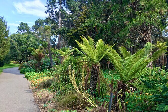 Private Guided Tour in San Francisco - Stop 2: Alamo Square Gardens and the West-Side View