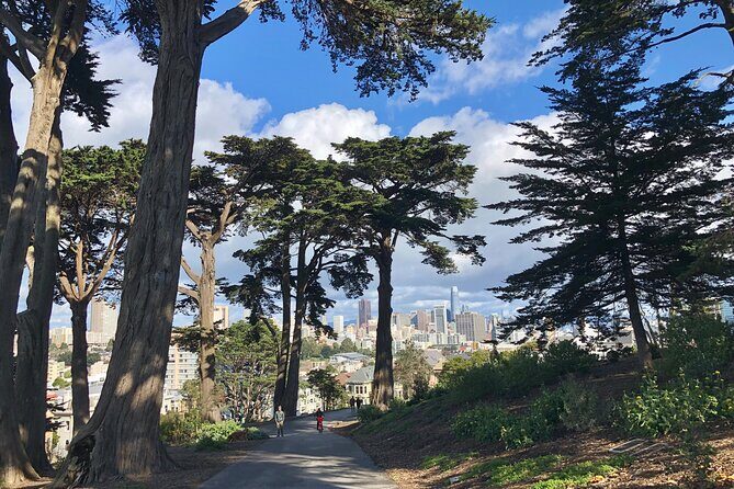 Private Guided Tour in San Francisco - Stop 5: Golden Gate Park Like Locals Do