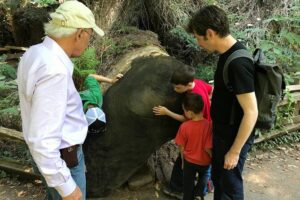 Private Muir Woods and Sausalito Half Day Tour - Muir Woods National Monument on Your Schedule (Guide Stays Outside)