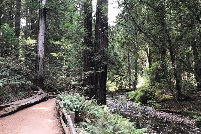 Private Muir Woods and Sausalito Half Day Tour - FAQ
