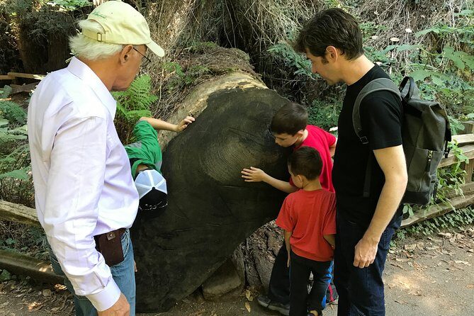 Private Muir Woods and Sausalito Half Day Tour - Muir Woods National Monument on Your Schedule (Guide Stays Outside)