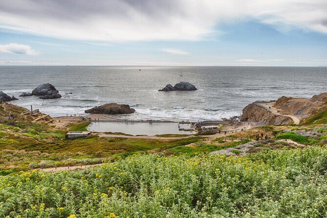 Private San Francisco City Tour and Muir Woods with Sausalito - How to plan your day for fewer headaches