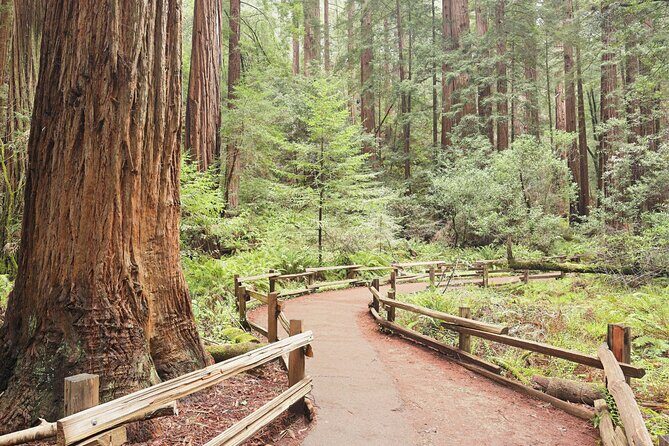 Private San Francisco City Tour and Muir Woods with Sausalito - Should you book this private SF + Muir Woods + Sausalito tour?