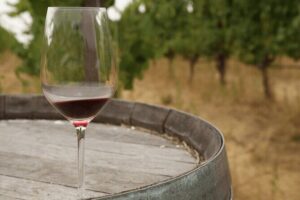 Private Tour: Napa and Sonoma Wine Country - Nicholson Ranch Winery: your tasting opener in Sonoma County