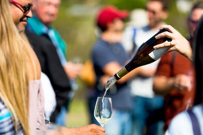 Private Tour: Napa and Sonoma Wine Country - Carneros in Napa: Madonna Estate and the farming-to-flavor link