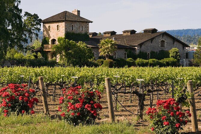 Private Tour: Napa and Sonoma Wine Country - When wineries change: how to plan your expectations