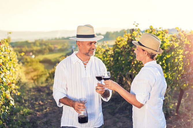 Private Tour: Napa and Sonoma Wine Country - Price and value: what $465 per person buys you