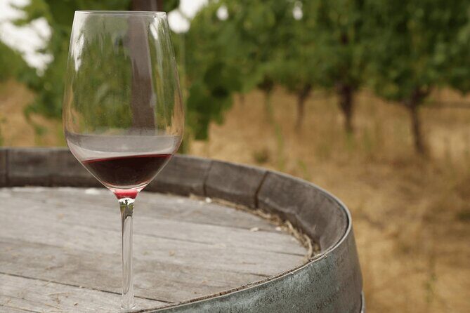 Private Tour: Napa and Sonoma Wine Country - Nicholson Ranch Winery: your tasting opener in Sonoma County
