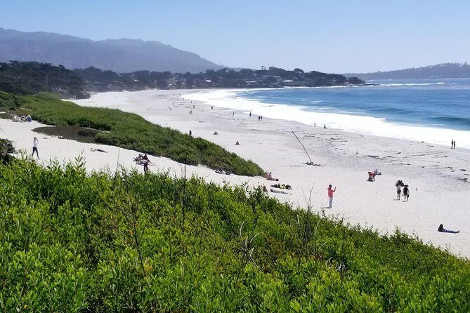 Private Tour to Monterey, Carmel, 17-Mile Drive, Pebble Beach - Monterey Bay: where to spend your up-to-3-hours wisely