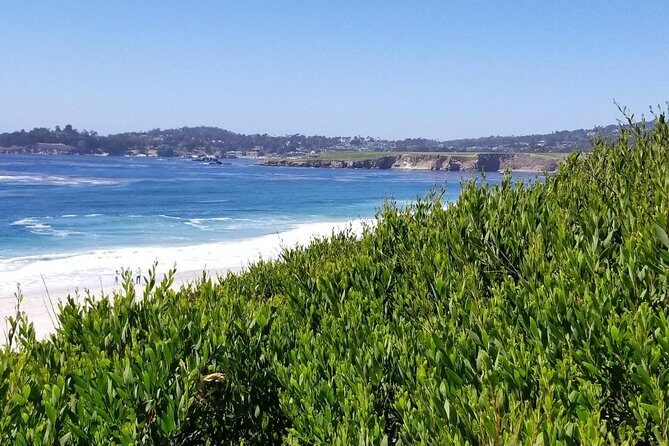 Private Tour to Monterey, Carmel, 17-Mile Drive, Pebble Beach - Pebble Beach stop: golf course views and a quick museum hit