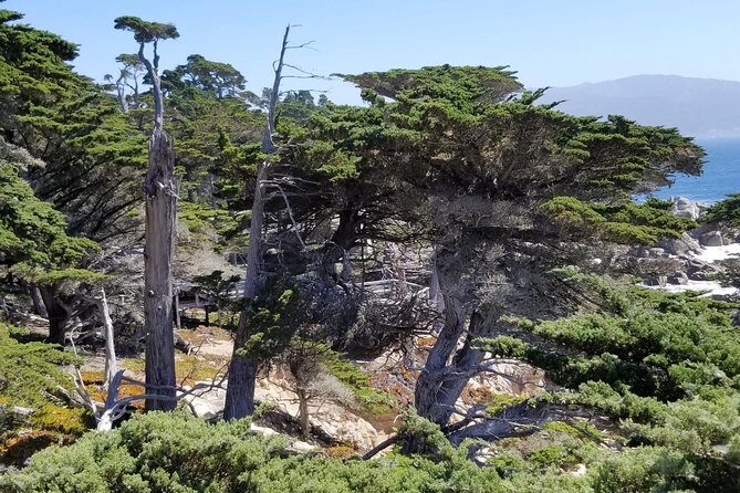 Private Tour to Monterey, Carmel, 17-Mile Drive, Pebble Beach - Silicon Valley photo stops without turning the day into a slog