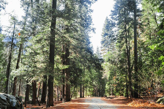 Private Yosemite National Park Day Trip from San Francisco - Central Valley rest stop: a small break that can save your energy