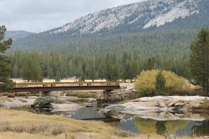 Private Yosemite National Park Day Trip from San Francisco - Transport, timing, and comfort: the practical stuff that makes or breaks a day trip