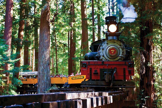 Redwood Forest, Santa Cruz Harbor 1-Day Trip from San Francisco - Key things that make this day trip work