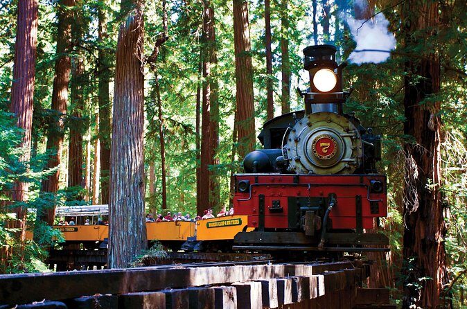 Redwood Forest, Santa Cruz Harbor 1-Day Trip from San Francisco - The return drive: why the loop matters