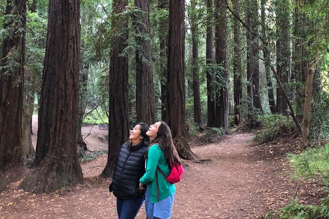 Redwoods of Marin and Mt. Tamalpais Walking Tour with Local Guide - Pace, Group Size, and the 4.5-Mile Reality Check