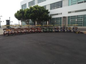 San Fancisco: Golden Gate Park Surrey Rental - Picking the right surrey: 2-seater comfort vs 4-seater capacity