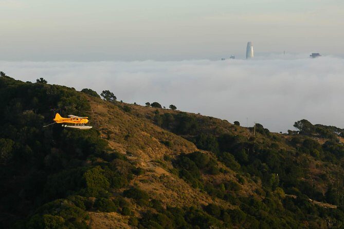 San Francisco 1-Hour Seaplane Tour - Muir Woods and Muir Beach: forest and coast from above