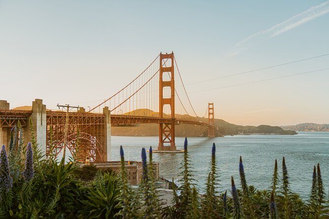 San Francisco Airport Transfer to SFO City (Special Offer) - Pickup at SFO Without a Meet-and-Greet: The Real Handoff Process