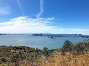 San Francisco: Alcatraz & Angel Island Ticket, Ferry & Tour - Ferry timing and bay scenery: the part that makes the day feel real