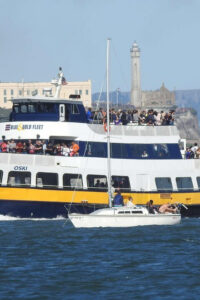 San Francisco: Alcatraz Island & Guided Muir Woods Tour - What You’ll Actually See at Muir Woods (and Why It Feels Different)