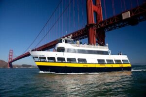 San Francisco Bay Cruise & Double Decker Night Tour - Double-Decker Night Tour: City Lights on a Bigger Scale